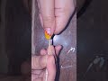 Navratri special flower 🌼 nail design #nailart #@POOJA-xs9xw #youtubeshorts #shorts🌼💛♥️🙏