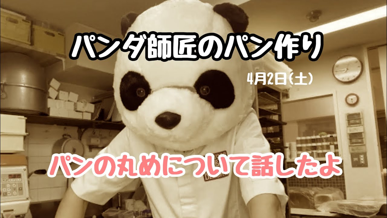 パンダ師匠の作業風景 パンの丸めについて話したよ - YouTube