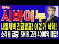 시바이누 코인 전망🔥내일새벽 0(2)개 삭제 시작! SHIB 역대급 기회 찾아온다! #시바이누 #시바이누코인 #시바이누코인전망