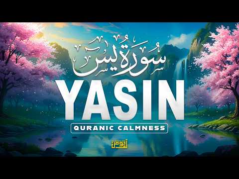 Surah Yaseen (سورة يس) | Soothing Quran Recitation to Calm Your Heart & Mind | Ala Aqel #surahyaseen
