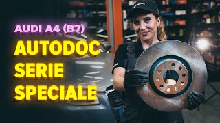 Come sostituire Luci targa HONDA 800 - tutorial