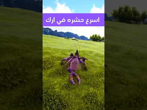 سويت حشرة الامبر اسرع من الصوت Ark Shorts