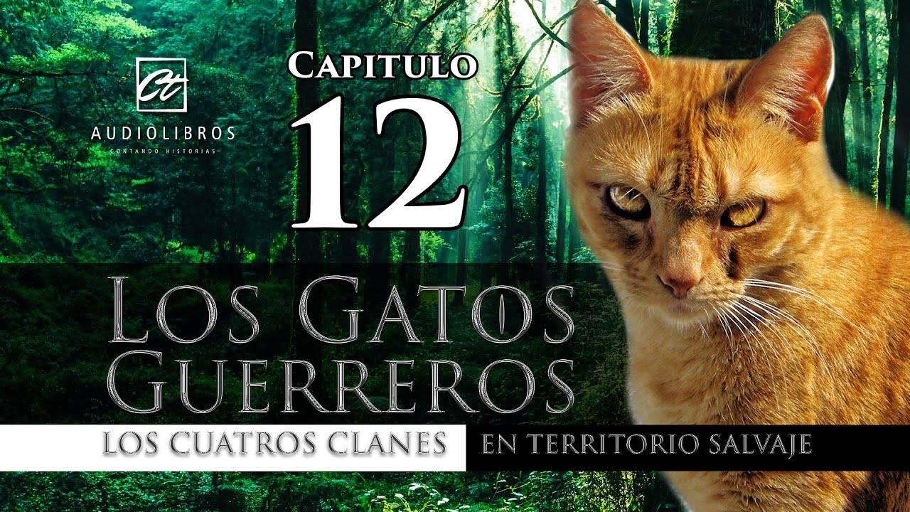 AUDIOLIBRO Los Gatos Guerreros 🐱 LOS CUATRO CLANES En Territorio Salvaje CAPITULO 12 YouTube