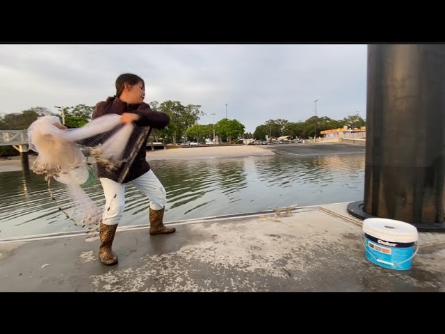 CASTING NET AT JACOBS WELL/ BRISBANE. 