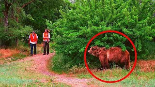 картинка: Опасные встречи с медведями: Шокирующие кадры нападений
