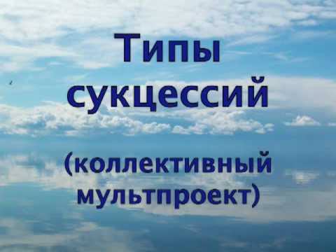 "Типы сукцессий" (коллективный мультпроект)