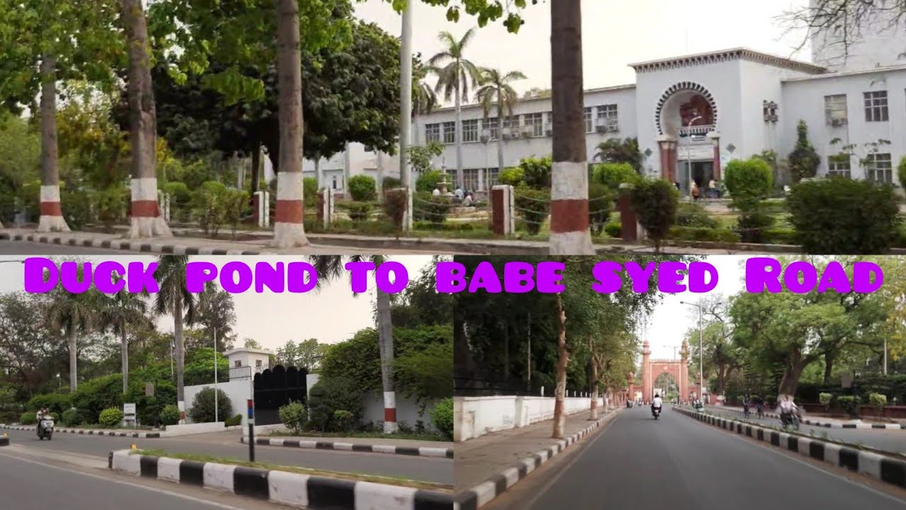 Campus View Duck Pond Se Babe Syed Road duck alig aligarh amu campus-view-duck-pond-se-babe-syed-road-duck-alig-aligarh-amu