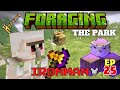 THE PARK, consigue talismanes haciendo misiones | HYPIXEL SKYBLOCK - IRONMAN #25