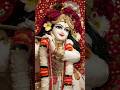 कृष्ण भगवान वीडियो #shorts #trending #bhajan