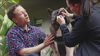 Can't afford to take your pet to a pricey vet? A new nonprofit wants to help