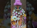 #shorts #krishna 🪈#krishnastatus #krishnalove📿 #radheradhe ⛳#radhakrishna 🪔#radha 🌸#love ❣️