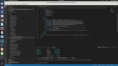 Presentación de la fase II del proyecto de Programación III