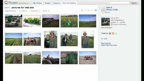 Inserting a Picasa Slideshow