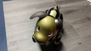 Entertainment Robot Dog Sony AIBO ERS-1000 Custom Color Black Gold