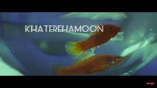 Khaterehamoon - Ehaam ( Türkçe Altyazılı )