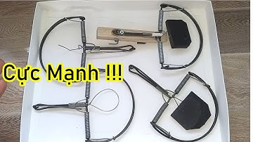 4 loại bẫy chuột hiệu quả nhất hiện nay
