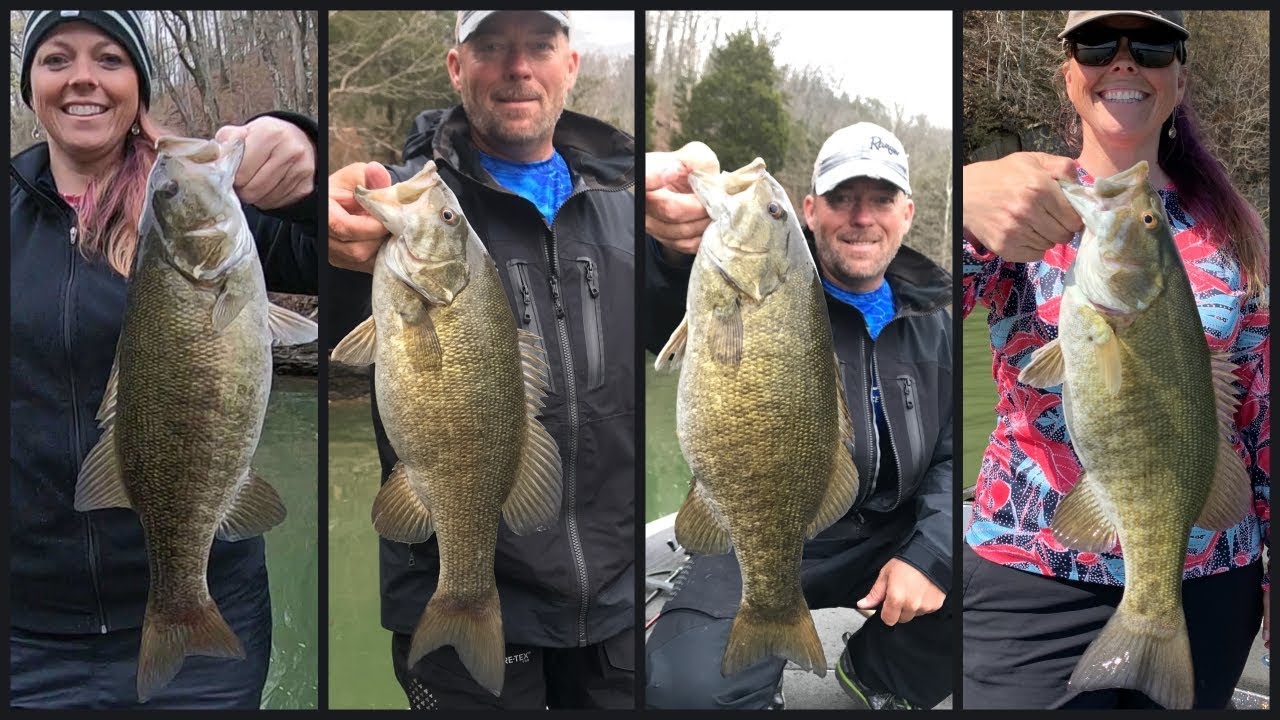 Lake cumberland smallmouth fishing Clearance