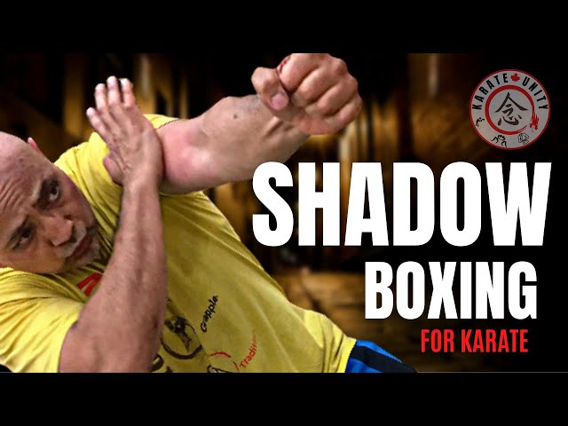 Shadow Boxing - The Bioneer