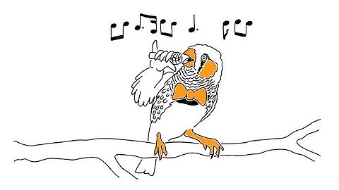 Learning about Language from Birdsong