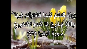 (فقلنا اضربوه ببعضها كذلك يحي الله الموتى ويريكم آياته لعلكم تعقلون)🌹قرآن كريم راحة نفسية 💖💕