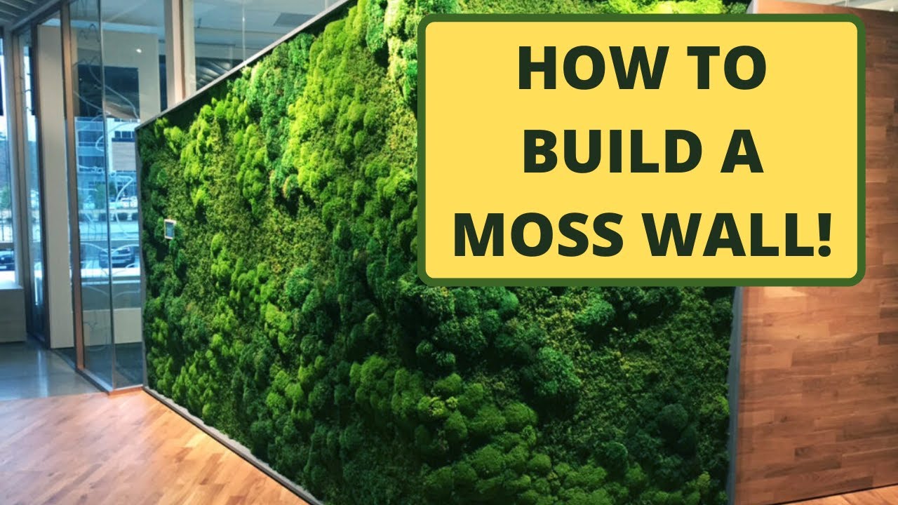 Indoor & Outdoor Moss Wall Installation