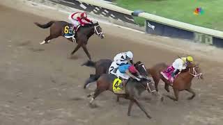 2026 Kentucky Derby Prep Races  2026 Florida Derby FULL RACE from NBC Sports