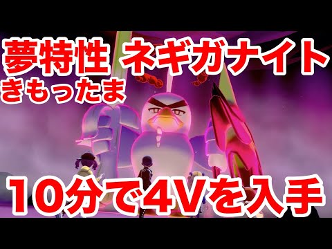 ソードシールド ふといながねぎの入手方法と効果まとめ ポケモン剣盾 攻略大百科