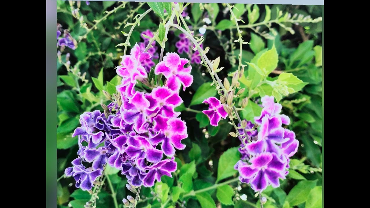 🏝️Isla ☀️ Gran Canaria 🌊🌊🌊