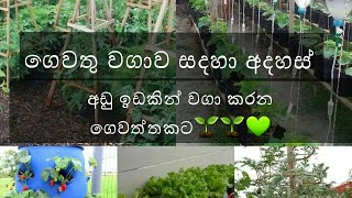 Gewathu wagawa sadaha adahas / ගෙවතු වගාව සදහා අදහස්  #GewathuWagawa