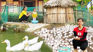 Harvesting A Lot Of Ducks Egg Goes to Market sell  Daily life my family farm | Tiểu Ca Daily Life