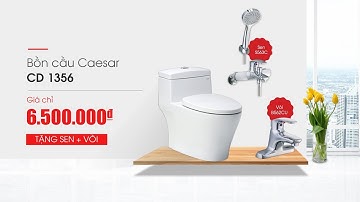 Siêu khuyễn mãi với mã bồn cầu Caesar CD1356 tại Hải Linh