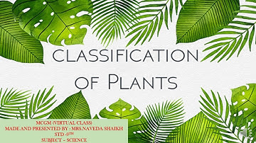 Classification of plants part1/std 9th/science/ssc Maharashtra board