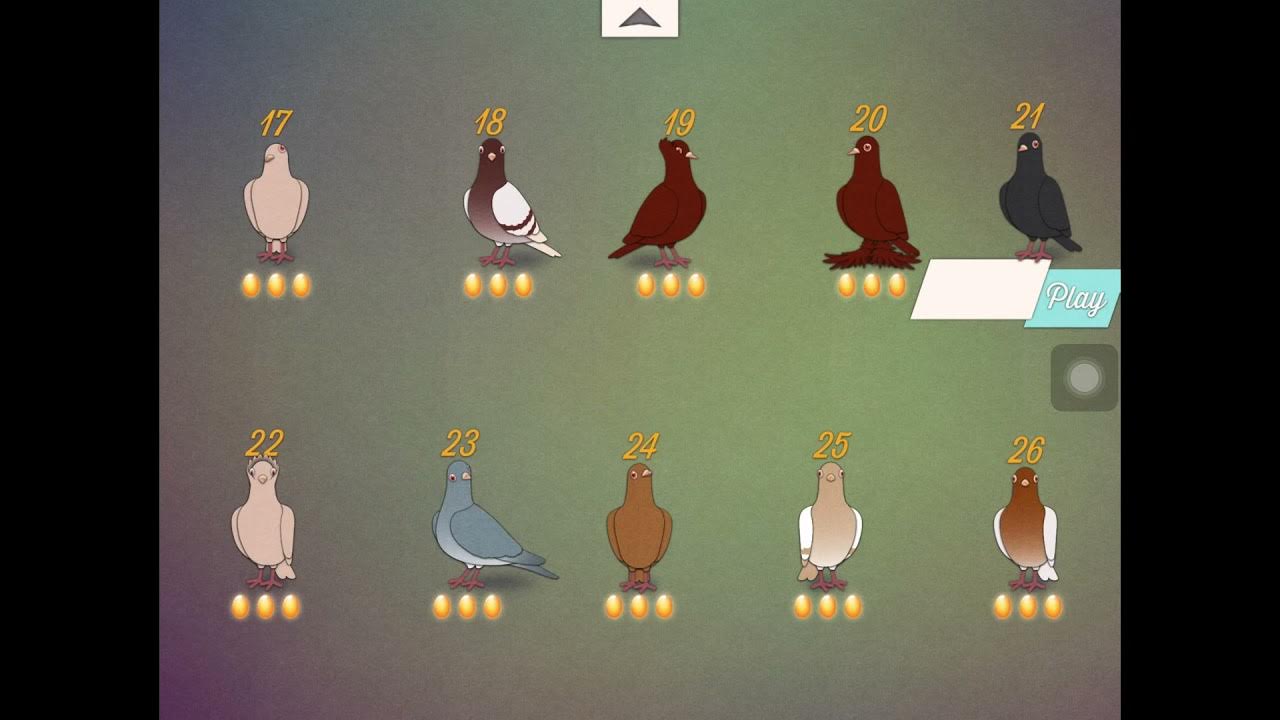 Pigeonetics Walkthrough Levels 21-25 - YouTube