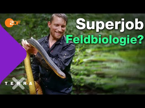 Video: Was ist eine Feldbiologie?