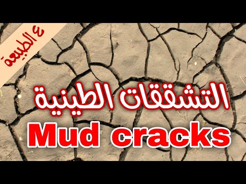 ع الطبيعة ١ ظاهرة التشققات الطينية على الطبيعة ايه الي بيحصل للتربة بعد جفاف المياة  