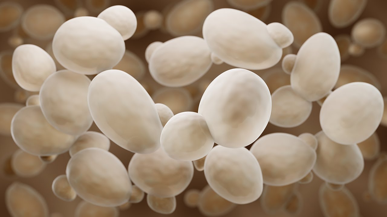 Radicle Health Summer Lecture Series: Biosynthetic Cannabinoids