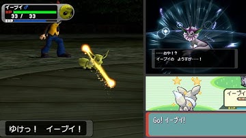 Live Shiny Eevee after 4,370 SRs / 8,740 total seen in XD Gale of Darkness!