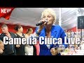 Camelia Ciuca -Hore si Sarbe , Colaj NOU - Live - Nunta Bebe & Roxana