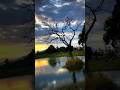 Cinematic videography 📱📷 #shortvideo #love #nature