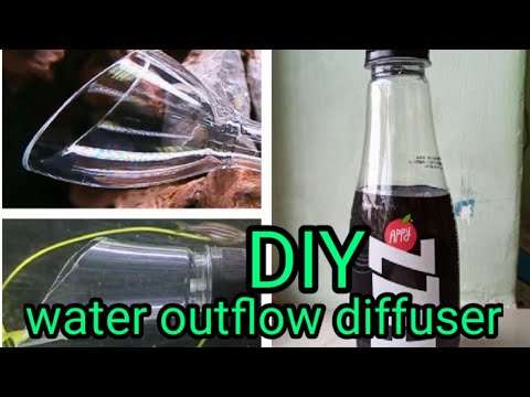 فيديو: كيفية صنع زنابق الوادي من زجاجة بلاستيكية
