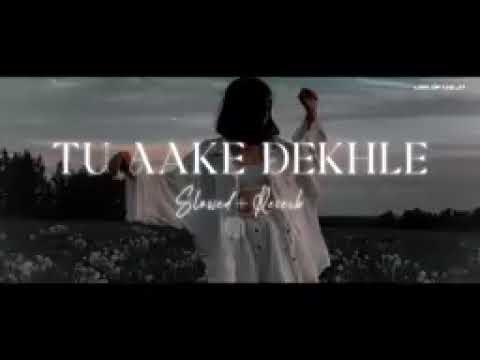 TU Aake Dekhle [ Slowed + Reverb ] _ King | The Carnival | Lofi Of Anajit  