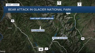 Backcountry hiker hurt by bear at Glacier National Park