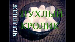 Челлендж пухлый кролик / Chubby bunny Challenge / Смех до слез