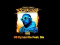 08 Sean Paul - Dynamite Feat. Sia