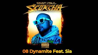 08 Sean Paul - Dynamite Feat. Sia