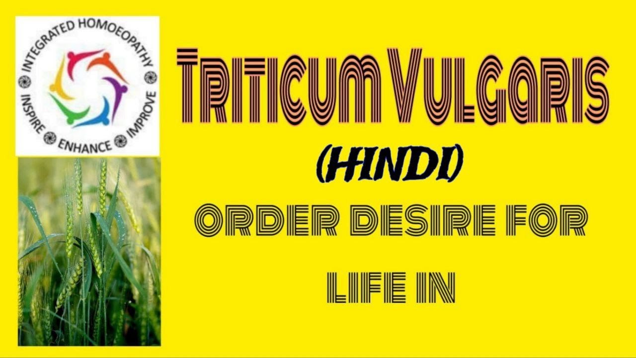 Triticum Vulgaris in HINDI by INTEGRATED HOMOEOPATHY