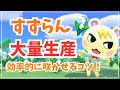 【あつ森】500本超え!すずらんを効率的に咲かせる方法/ベル稼ぎオタクによるすずらん量産方法/おうごんとすずらんの島