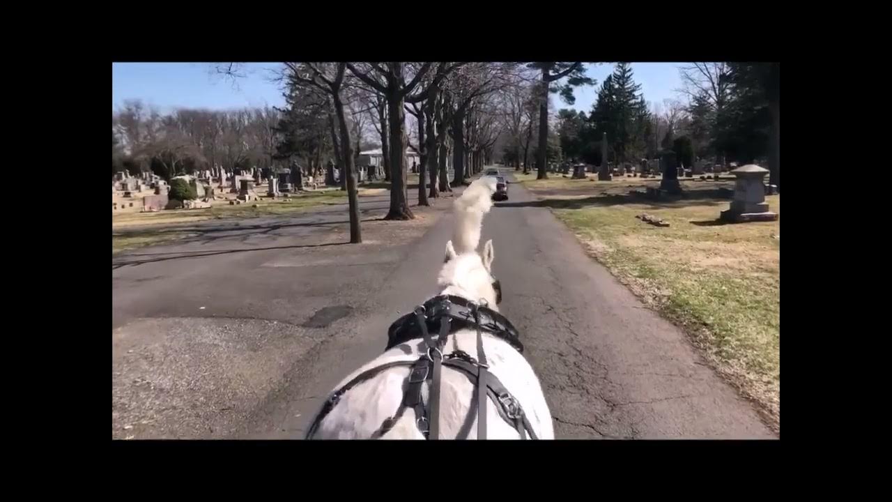A Final Farewell Funeral Carriage Hughes FH to Greenwood Cemetery