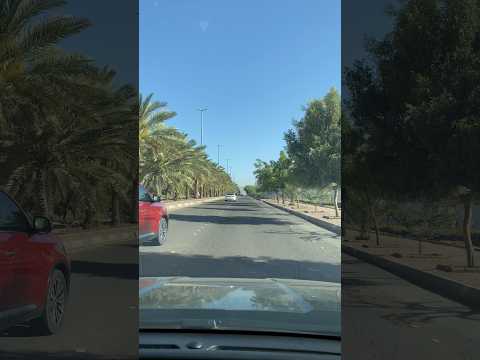 طريق قربان الامير عبدالمحسن بن عبدالعزيز في المدينة المنورة
