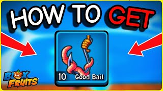 How to Get GOOD BAIT in Blox Fruits (Fast & Easy Guide)